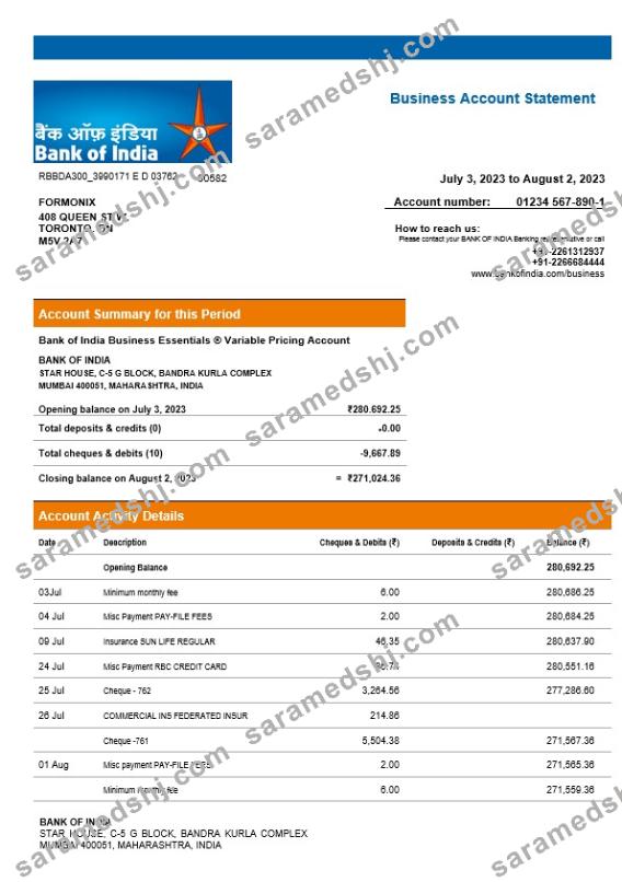 Bank of India company checking account statement Word and PDF template